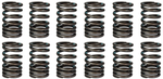 1959-1962 6-CYL 235 VALVE SPRINGS - SET OF 12